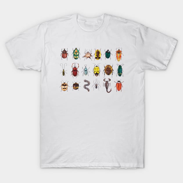 Further Entomology Illustrations T-Shirt by djrbennett